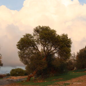 Colline d'Athènes