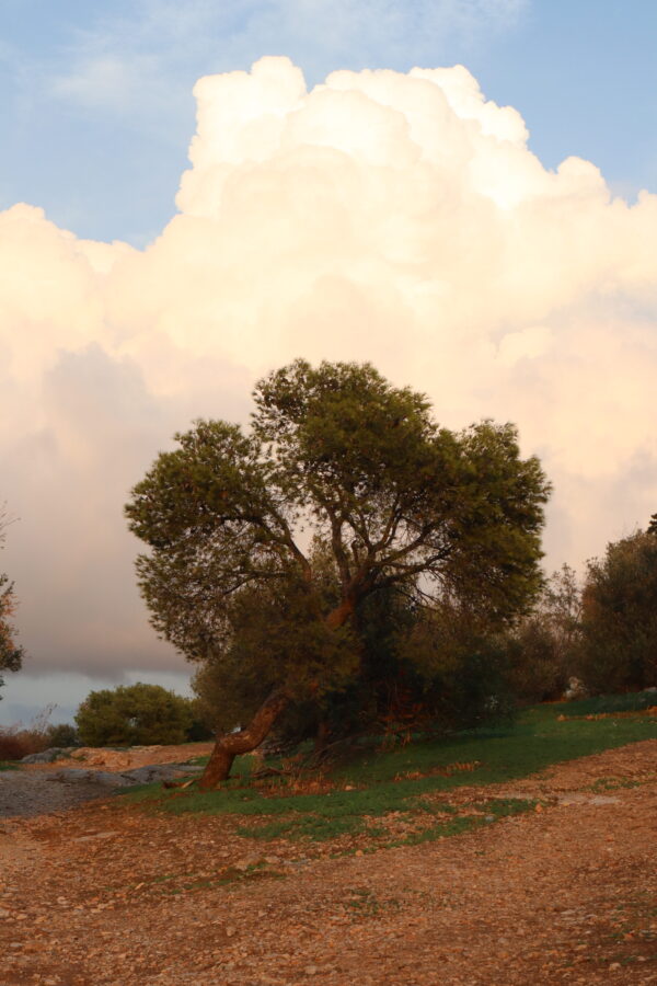 Colline d'Athènes